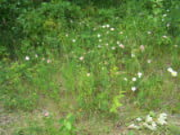 100_1697.jpg